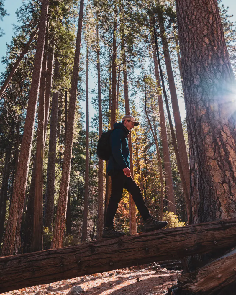 Josh walking across a fallen tree in Yosemite